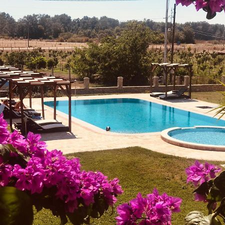 אולסינץ' Apartments Ada Bojana מראה חיצוני תמונה