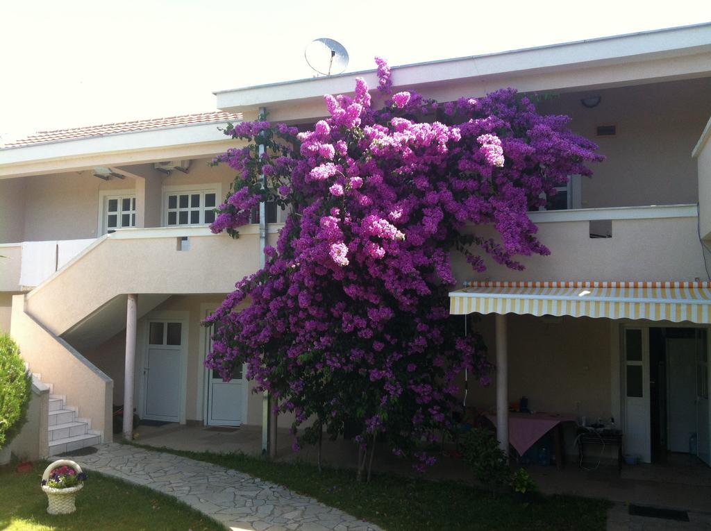 אולסינץ' Apartments Ada Bojana חדר תמונה